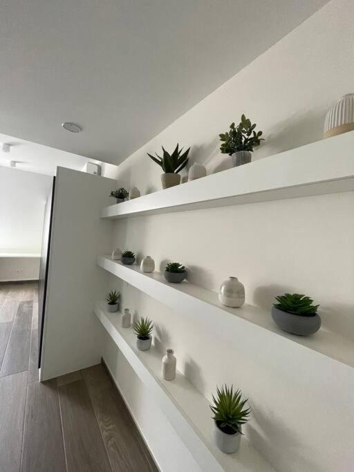 : La Verte De La Grand Place Apartment Chimay