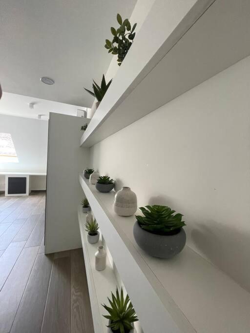 : La Verte De La Grand Place Appartement